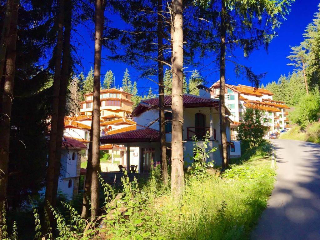 Forest Glade-Апартаменти И Стаи За Гости Pamporovo Buitenkant foto
