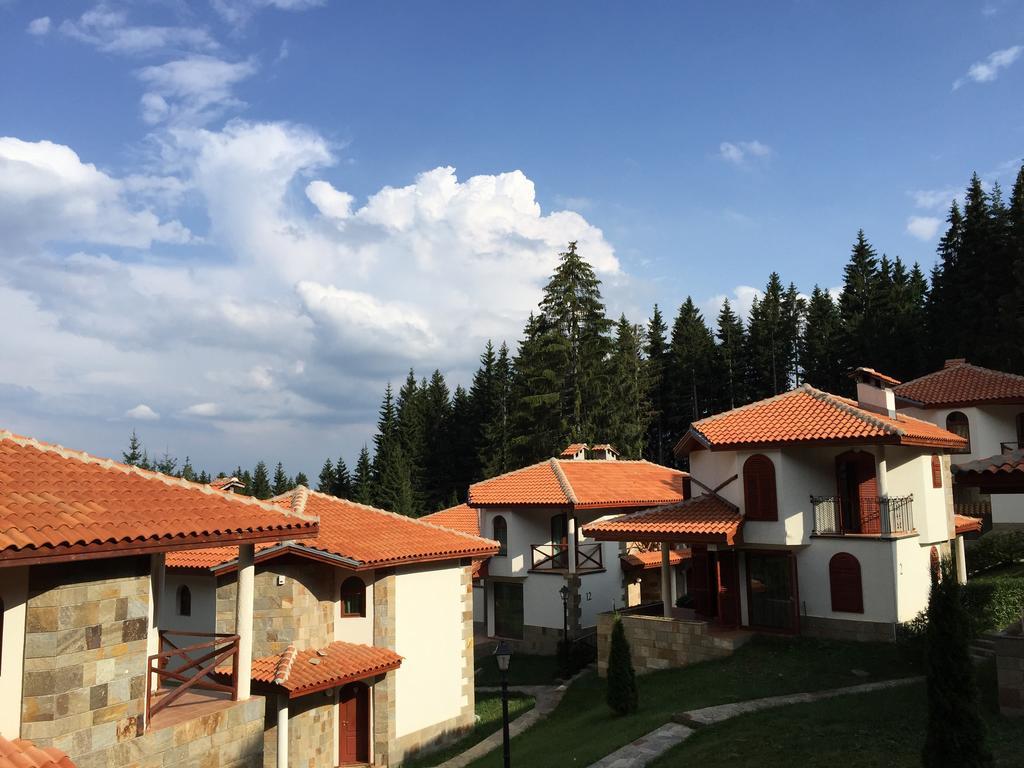 Forest Glade-Апартаменти И Стаи За Гости Pamporovo Kamer foto
