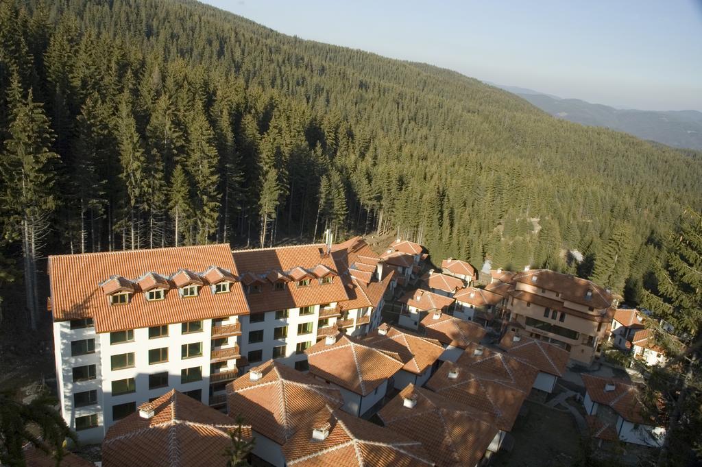 Forest Glade-Апартаменти И Стаи За Гости Pamporovo Buitenkant foto
