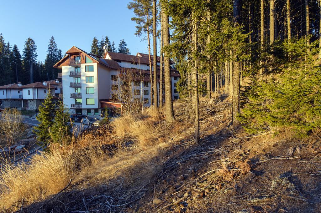 Forest Glade-Апартаменти И Стаи За Гости Pamporovo Buitenkant foto