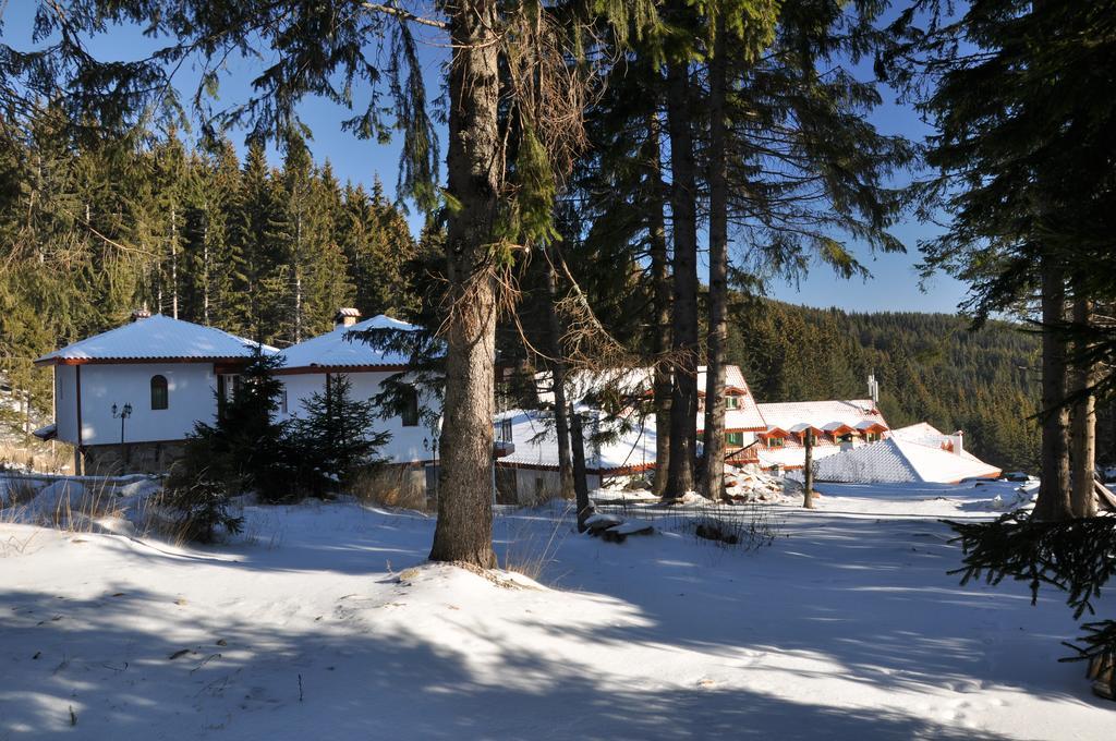 Forest Glade-Апартаменти И Стаи За Гости Pamporovo Buitenkant foto
