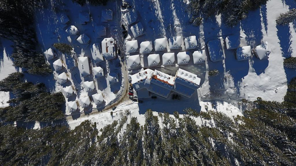 Forest Glade-Апартаменти И Стаи За Гости Pamporovo Buitenkant foto