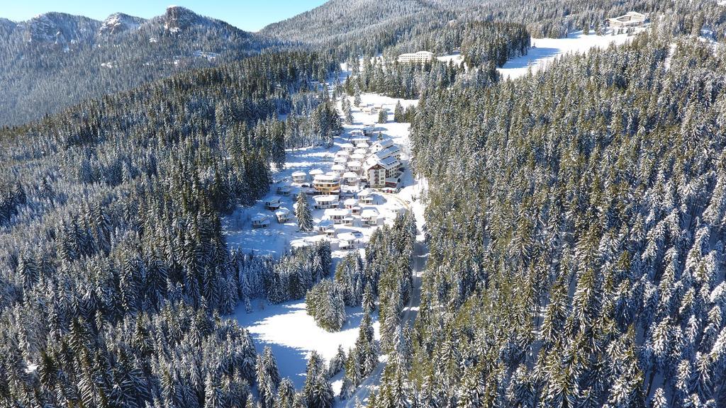 Forest Glade-Апартаменти И Стаи За Гости Pamporovo Buitenkant foto